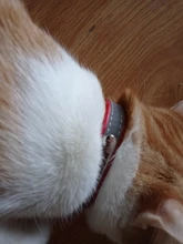 Collar de perros de piel sintética personalizado, reflectante, gato, grabado personalizado, etiqueta de identificación, grabado para cachorro, perros grandes, accesorios para mascotas