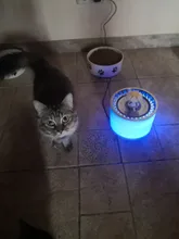 Dispenser-Container Fountain Cat-Bowl Water-Level-Display Electric-Water-Feeder Dogs