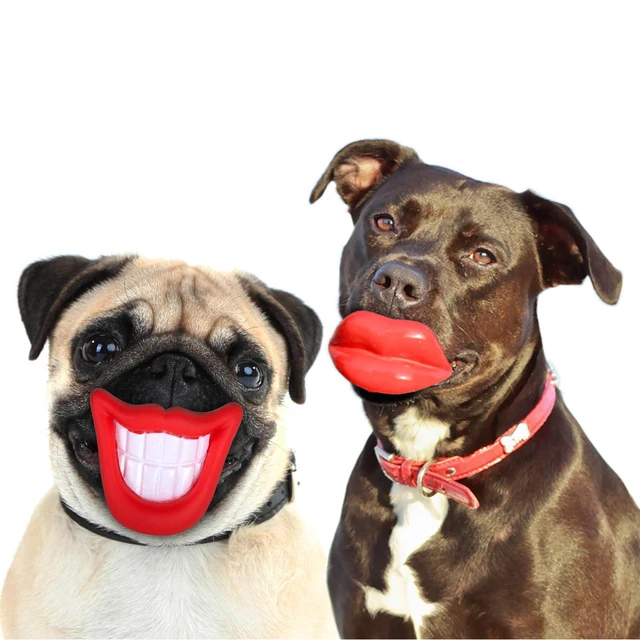 Will Meat Tenderizer Hurt Dogs