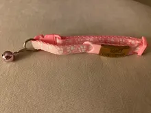 YVYOO nuevo gato perro sin etiqueta grabado Collar de perro mascota encanto Nombre de mascota colgante Collar con hueso collar para cachorro, Gato Collar