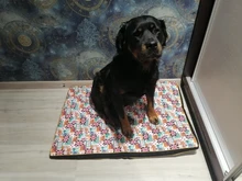 Cama grande para perro, colchoneta de espuma viscoelástica, transpirable, colchón ortopédico de fondo Oxford, para mascota mediana grande pequeña