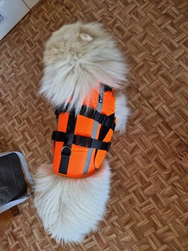 Reflective Dog Life Jacket Vests photo review