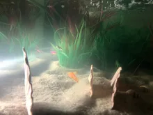 Grass-Ornament Decoration Viewing-Decor Aquarium-Plants Aquatic Fish-Tank Water-Weeds