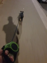 3m y 5m Durable Correa automática retráctil de Nylon gato plomo extensión cachorro caminar correr a la ruleta para perros