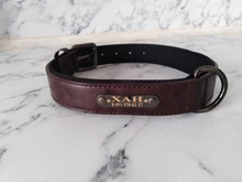 Dog-Collar Leash Engrave-Name Designer Personalized Luxury for Big Large And