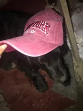 Baseball-Cap Embroidery Sports-Caps Vintage Outdoor New York Women Letter Sand-Washed