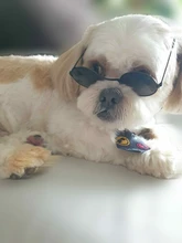 Gafas de sol para perros medianos y grandes, lentes de sol de moda para gatos, accesorios para fotos de Navidad, accesorios para mascotas