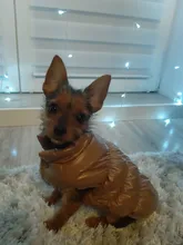 Ropa cálida de lana para perro, chaleco interior para mascota Bulldog, traje para cachorro, chaquetas para perro a prueba de viento, ropa de 8 colores para perros medianos y grandes