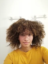 Afro corto rizado pelucas con flequillo para las mujeres negras rubia marrón Cosplay sintético Africana pelucas resistente al calor Dreamice