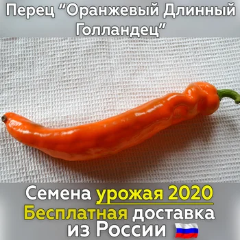 

Sweet pepper seeds orange long hollandan for planting, fresh crop, tested grade. Best vegetables for you!