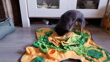 Dog Puzzle Toys Feeder Intelligence-Toy Games Snuffle-Mat Slow-Dispensing Puppy-Training