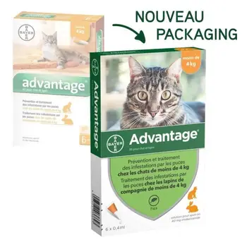 

ADVANTAGE 40 - 6 pipettes-worming-For cats and rabbits less than 4 kg