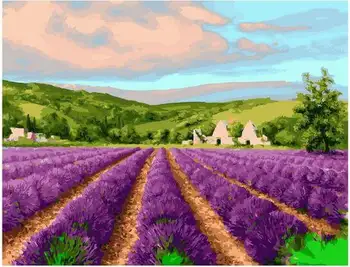 

Painting by numbers GX 27800 field of blooming lavender 40*50