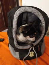 Backpack Teddy Carrying Golden-Retriever Chest-Bag Puppy Pets Dogs Kitten Outdoor Breathable