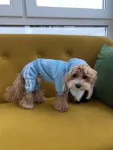 Traje para mascotas pequeñas y medianas, mono para cachorros, ideal para bulldog francés, chihuahua o pug