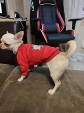 Sweater Dog-Jacket Dog Hoodie French Bulldog Winter Pet-Dog for Flamingo-Design Cats