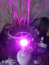 Phyto-Lamp Plant Light Grow-Bulb GU10 Canling Indoor Hydroponics Full-Spectrum 220V E27