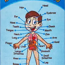 Конфетти Анатомия анты-slыp синие детские коврики-133- 190