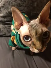 Ropa de gato para gatos, disfraz de gato de invierno, Sudadera con capucha, suéter, ropa de cachorro mascota, productos para gatos