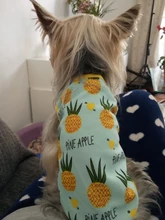 Vestido bonito de fruta para perros, Ropa de verano para pareja de mascotas, chaleco para perros pequeños, Chihuahua