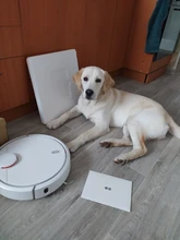 Xiamoi-Aspiradora Mi original automática, aspiradora para el hogar, para barrer, esterilizar y quitar el polvo, aplicación Mijia y wifi para el control remoto inteligente