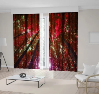

Curtain Into the Forest Tall Trees Sun Shining Through Leaves Foliage Branches Wild Nature Photo Red Green Brown