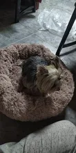 DEKO-camas supersuaves para perros, cojín redondo mullidas de gato, esterilla cálida y cómoda para dormir, sofá lavable, suministros para cachorros