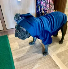 French Bulldog Hoodie Clothing Pet-Dog-Clothes Dogs-Coat Dog-Jacket Puppy Pug York Winter