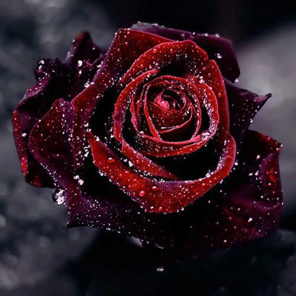 

5D DIY Diamond Painting kits for adults kids rose Rhinestone Cross Stitch Home Decoration Gift