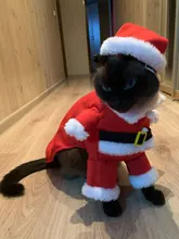 Christmas Cat Clothes Halloween Clothes For Cats Costume New Year Outfit Pet Cat Clothes