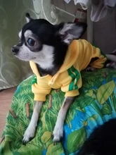 Costume Puppy-Outfit Dogs French Bulldog Chihuahua Pug-Pets Small Medium for Pet-Jumpsuit