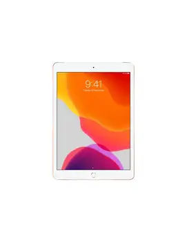 

Apple 10.2-inch iPad Wi-Fi + Cellular - 7ª generation-tablet-32 GB - 10.2 "IPS (2160x1620)-4G-LTE-Gold
