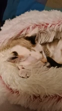 Cama redonda de felpa para gatos, casa cálida para gatos, perro de peluche suave para cama larga para perros y gatos pequeños, nido 2 en 1, cojín para cama de mascotas, sofá para dormir