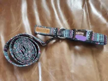 Collar para perro personalizado de nailon, con grabado impreso, identificativo, para cachorros, pequeños, medianos y grandes