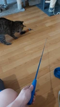11 PCS Replacement Cat Feather Toy Set, Cat Feather Teaser Wand Toy for Kitten Cat Having