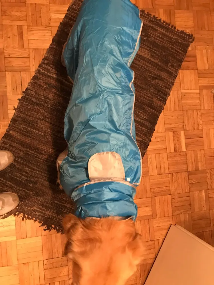Dog Raincoat Best Dog Raincoat Dog Raincoat with Legs