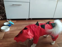 Raincoat Chihuahua Waterproof Summer Puppy Dogs Reflective for Small Nylon Ropa Perro