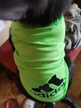 Ropa de perro de verano gran perro chaleco perro ropa camiseta sudadera chaleco para gatos mascota Camiseta de algodón ropa para perros mascotas ropa