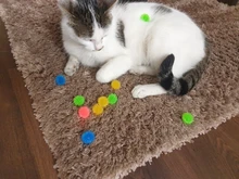 Cat Toy Ball Cat-Toys Spiky Funny Soft Creative Cute Colorful Stretch 10pcs