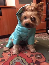 Ropa de invierno para perros pequeños, abrigo cálido para cachorros, chaqueta impermeable con capucha, monos para Chihuahua y Yorkie