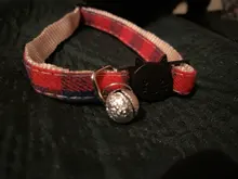 Pet-Cat-Collar Puppy-Accessories-Supplies Kitten Bell Adjustable 