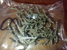 Abalorios de aleación de zinc de rama de árbol Vintage, colgante para pulsera, collar, joyería de metal, fabricación de accesorios, 8230, 8 Uds.