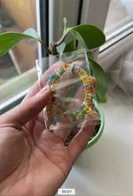 Collar sencillo con cuentas de semillas para mujer, Gargantilla corta con cuentas, joyería, Gargantilla, regalo, 1 ud.