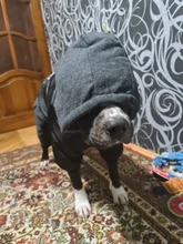 Dog-Coat Winter HOOPET for Dogs Clothing Warm Christmas Big