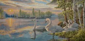 

Northern geese (70x35) in a single frame