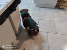 Pet-Dog-Clothes Clothing Coat Jacket Outfit Pets-Puppy-Costume French Bulldog Small Dogs