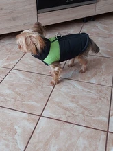 Jacket Yorkshire Terrier Padded-Coat Pet-Dog-Clothes Winter for Pitbull Chihuahua Warm