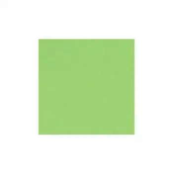 

Cardboard A4 green color MelaCANSON INFINITY4.02