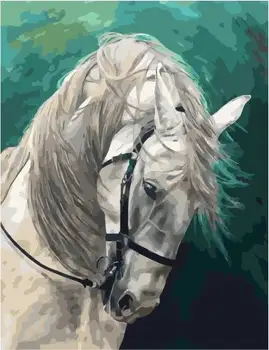 

Painting by numbers PK 59057 White Horse 40*50 exclusive