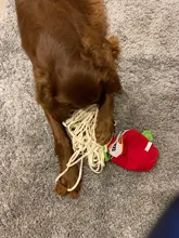 Training-Toy Toys Puzzle Noodle-Shape Puppy-Dog Nosework Dogs Leaking Funny Sniffing